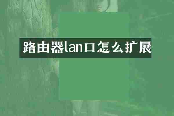 路由器lan口怎么扩展