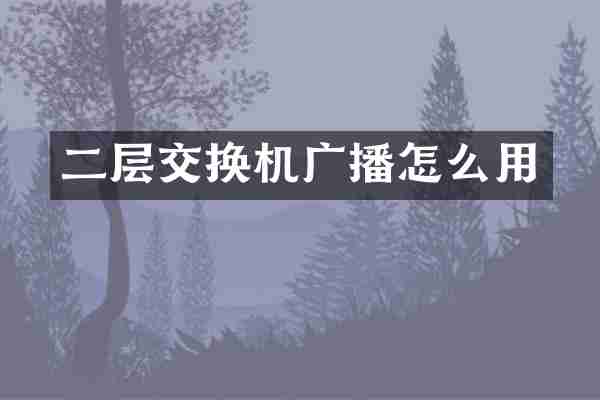 二层交换机广播怎么用