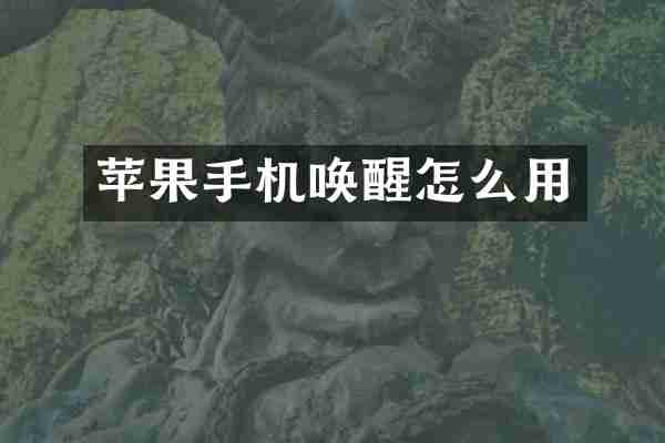 苹果手机唤醒怎么用