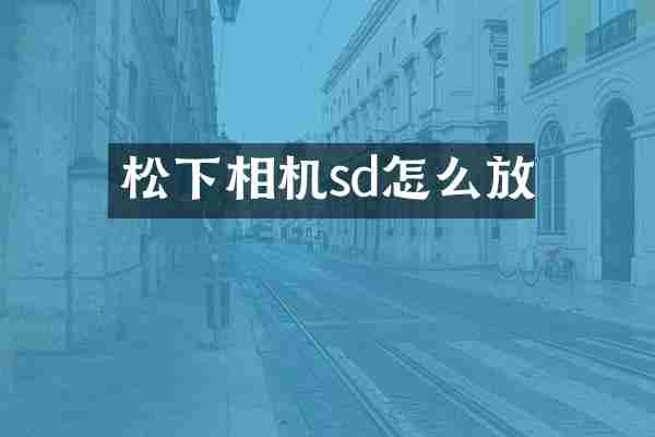 相机sd怎么放