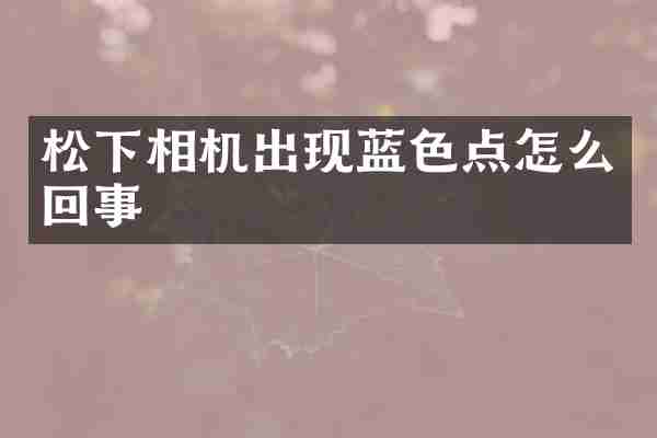 相机出现蓝色点怎么回事