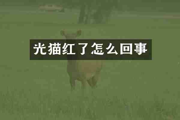 光猫红了怎么回事