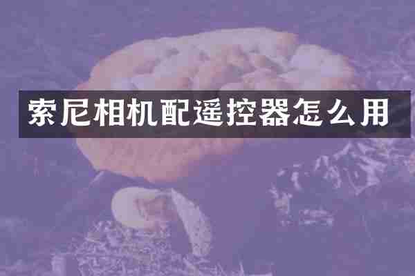 相机配遥控器怎么用