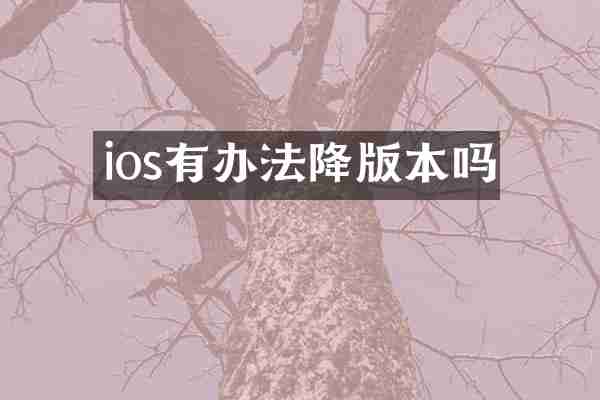 ios有办法降版本吗