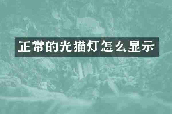 正常的光猫灯怎么显示