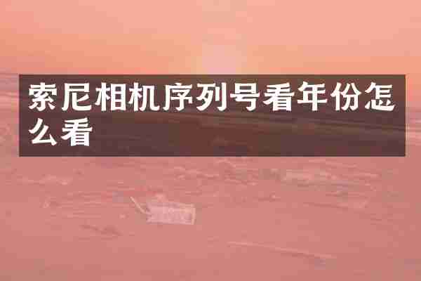 相机序列号看年份怎么看