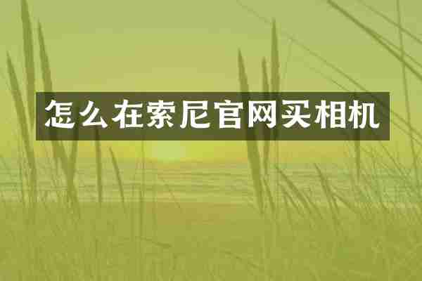 怎么在官网买相机