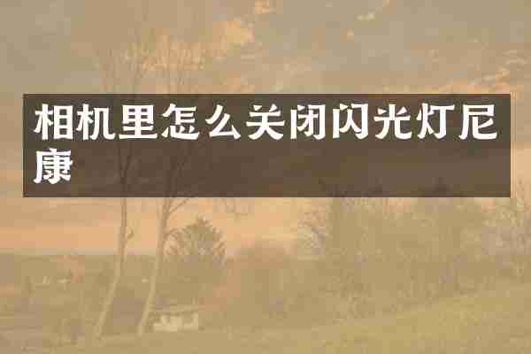 相机里怎么关闭闪光灯尼康