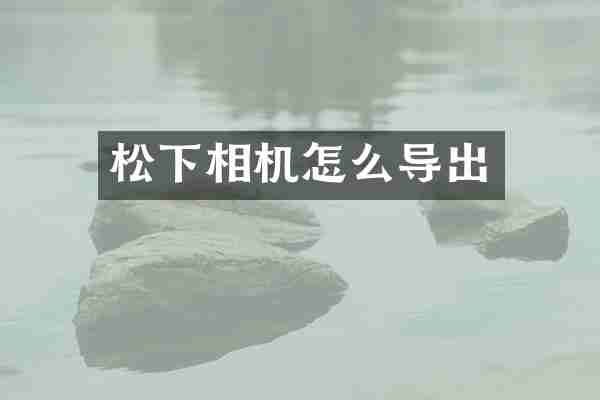 相机怎么导出