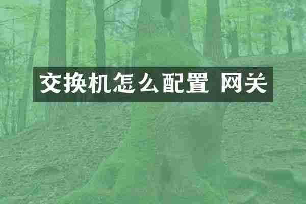 交换机怎么配置 网关