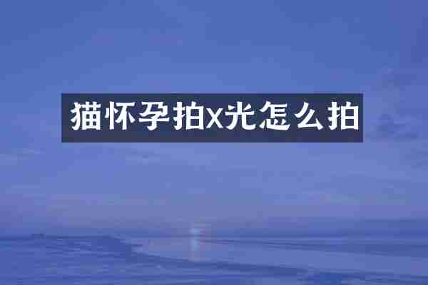 猫怀孕拍x光怎么拍