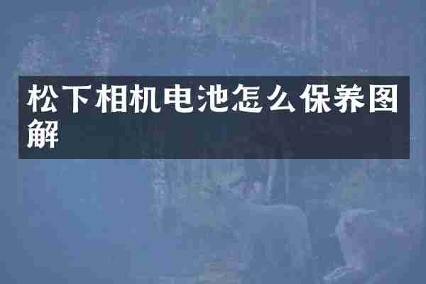 相机电池怎么保养图解