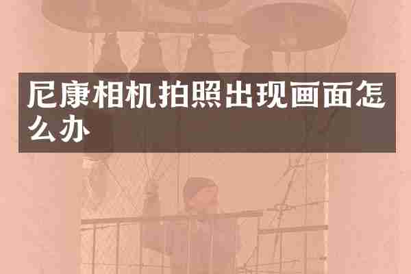 尼康相机拍照出现画面怎么办