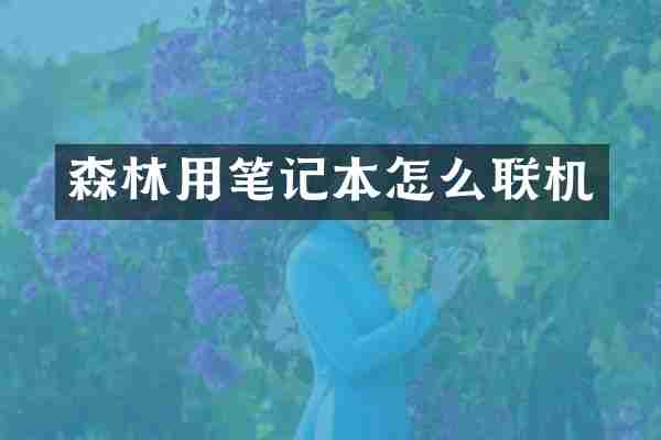 森林用笔记本怎么联机