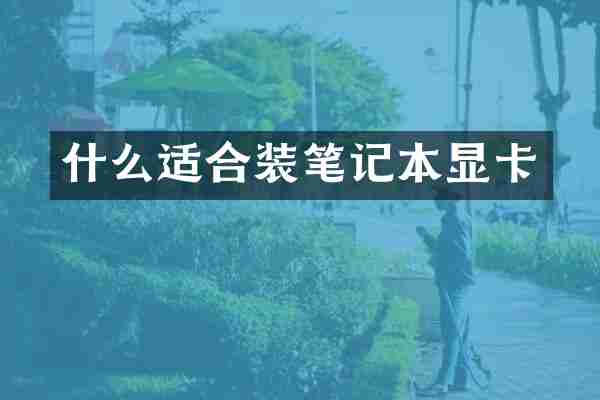 什么适合装笔记本显卡