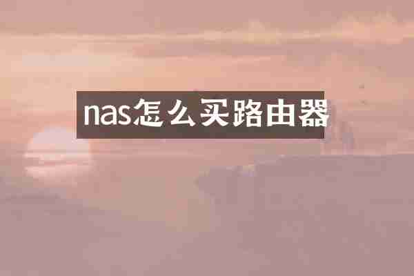 nas怎么买路由器