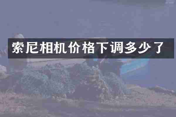 相机价格下调多少了