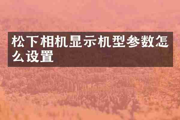 相机显示机型参数怎么设置