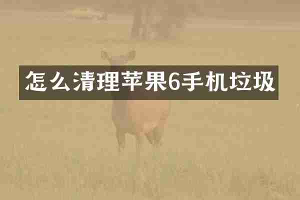 怎么清理苹果6手机垃圾
