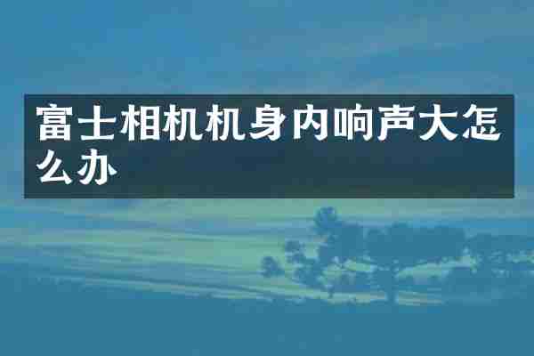 富士相机机身内响声大怎么办