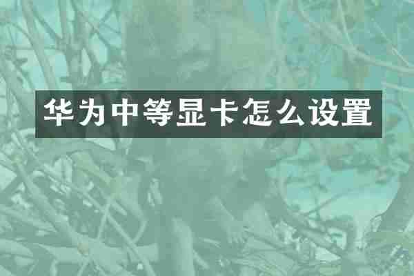 华为中等显卡怎么设置