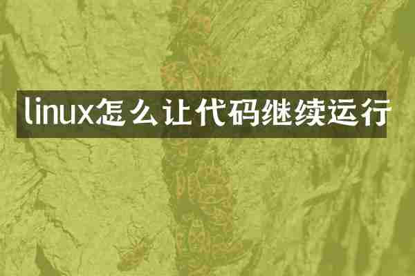 linux怎么让代码继续运行