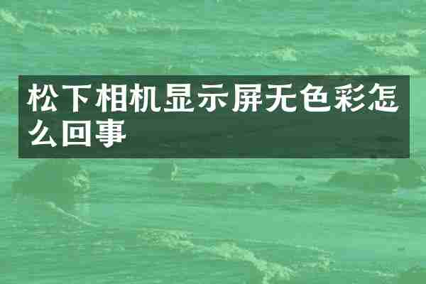 相机显示屏无色彩怎么回事