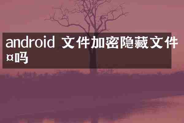 android 文件加密隐藏文件夹吗