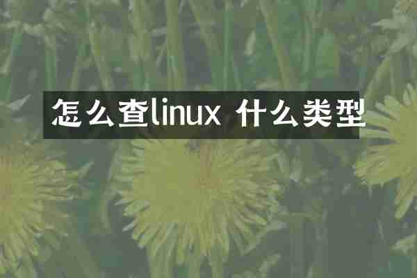 怎么查linux 什么类型