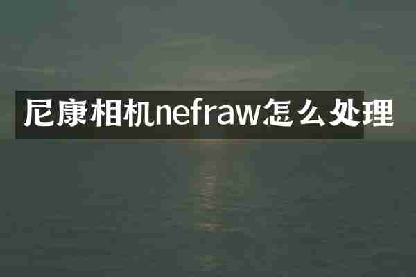 尼康相机nefraw怎么处理