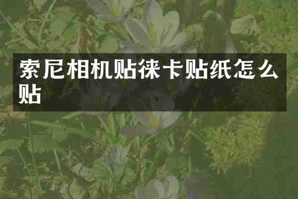 相机贴徕卡贴纸怎么贴