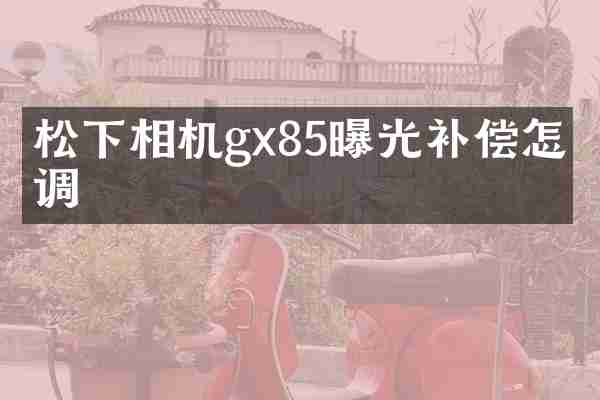 相机gx85曝光补偿怎么调