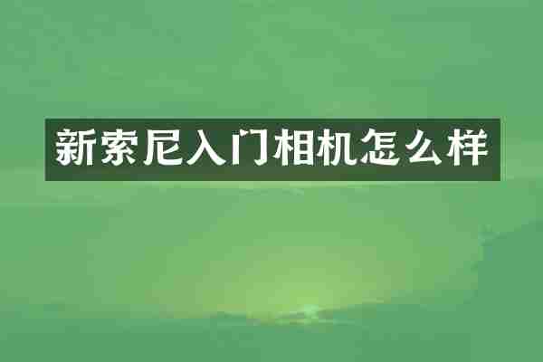 新入门相机怎么样