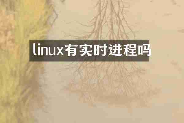 linux有实时进程吗