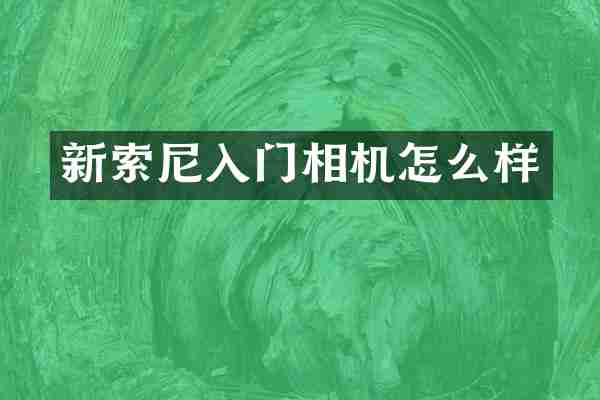 新入门相机怎么样