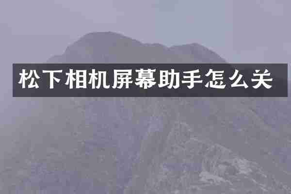 相机屏幕助手怎么关
