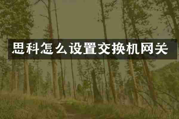 思科怎么设置交换机网关