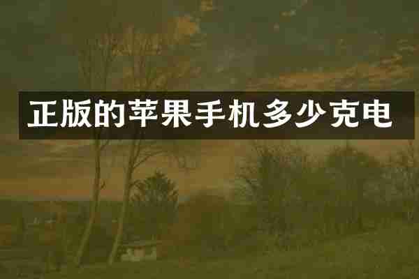 正版的苹果手机多少克电