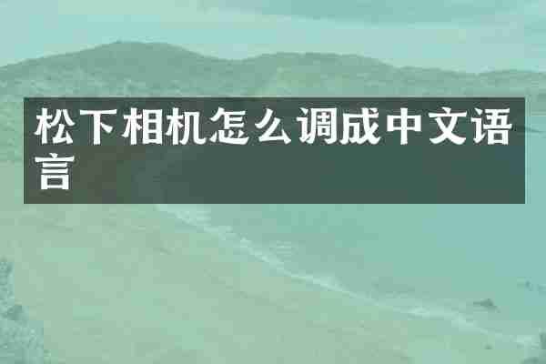 相机怎么调成中文语言