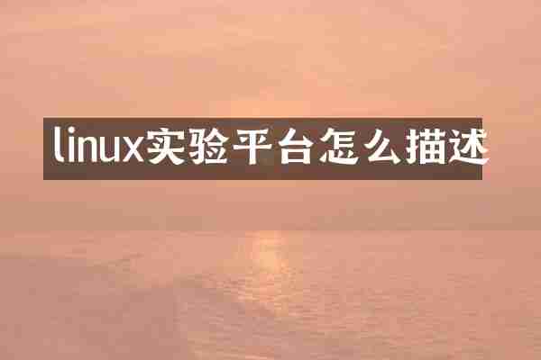 linux实验平台怎么描述