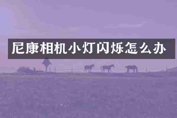 尼康相机小灯闪烁怎么办