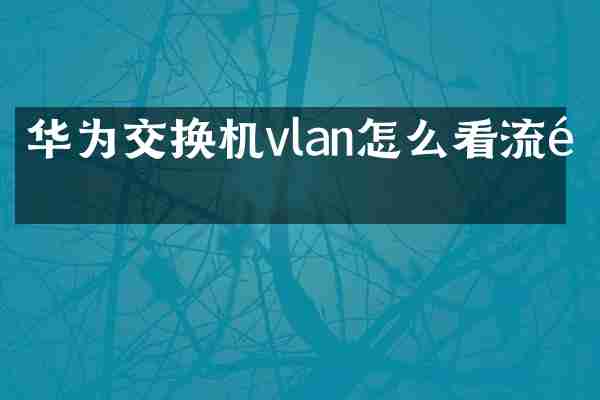 华为交换机vlan怎么看流量