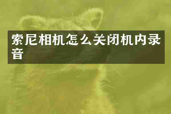 相机怎么关闭机内录音