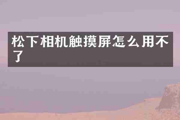 相机触摸屏怎么用不了