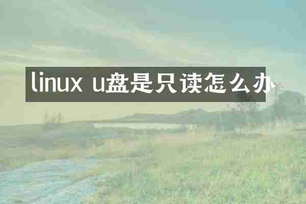 linux u盘是只读怎么办