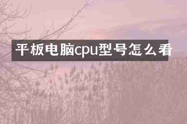 平板电脑cpu型号怎么看