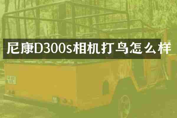 尼康D300s相机打鸟怎么样