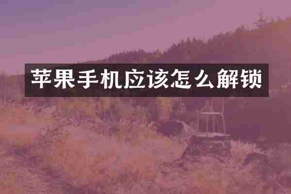 苹果手机应该怎么解锁