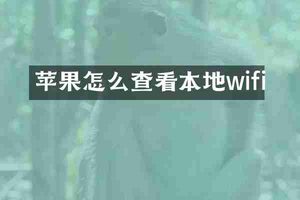 苹果怎么查看本地wifi