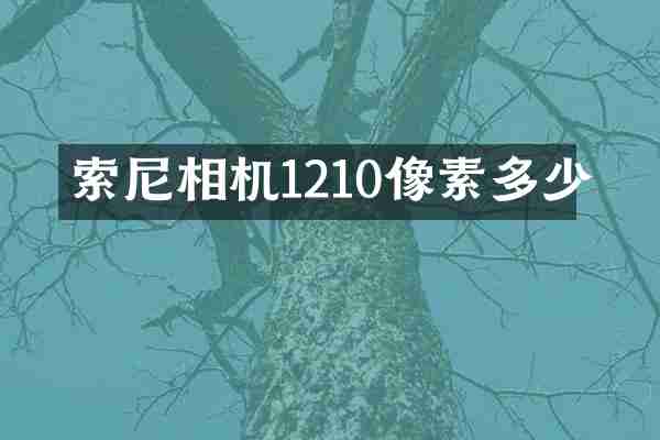 相机1210像素多少